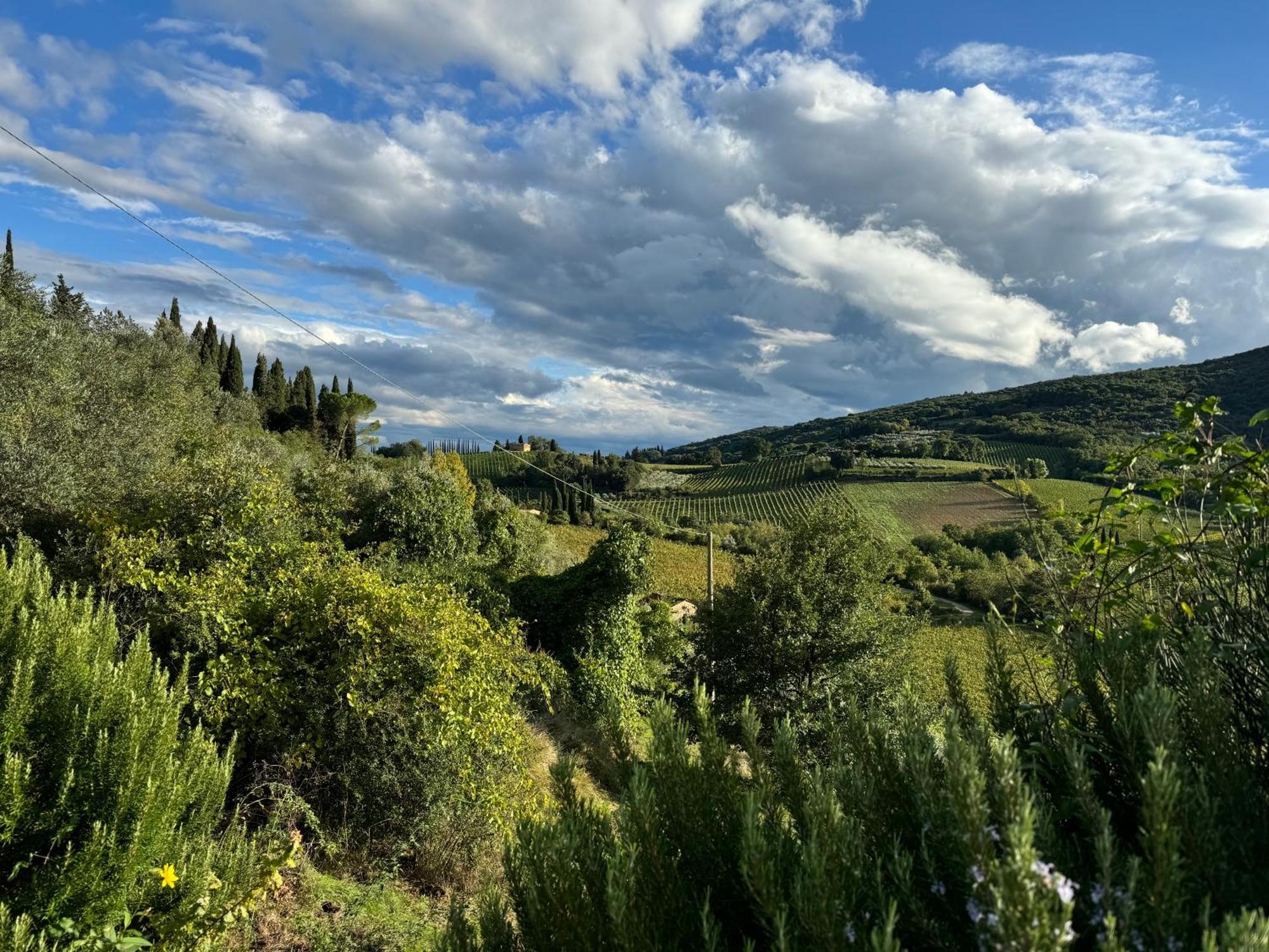 Villa Del Sole San Gimignano Exterior foto